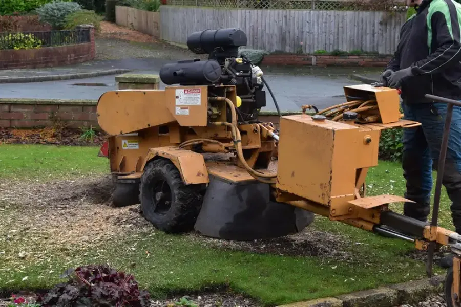 Can Stump Grinding Help With Yard Drainage Issues Whitesboro, TX Can Stump Grinding Help With Yard Drainage Issues Whitesboro, TX