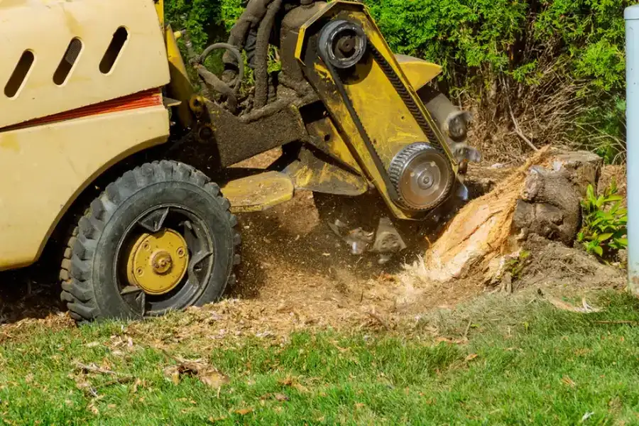 The Safety Benefits Of Professional Stump Grinding Services Whitesboro, TX The Safety Benefits Of Professional Stump Grinding Services Whitesboro, TX